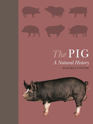 cover image of The Pig